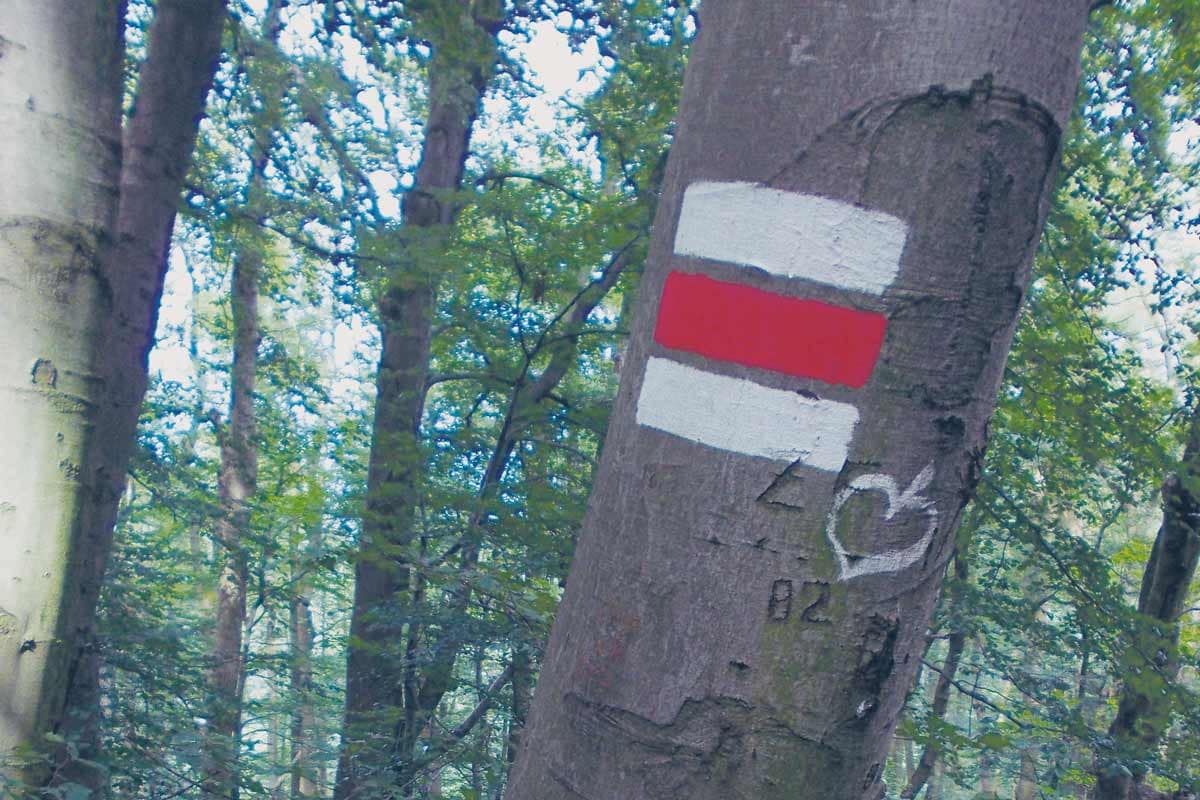 Rund um Wien: Donauinsel