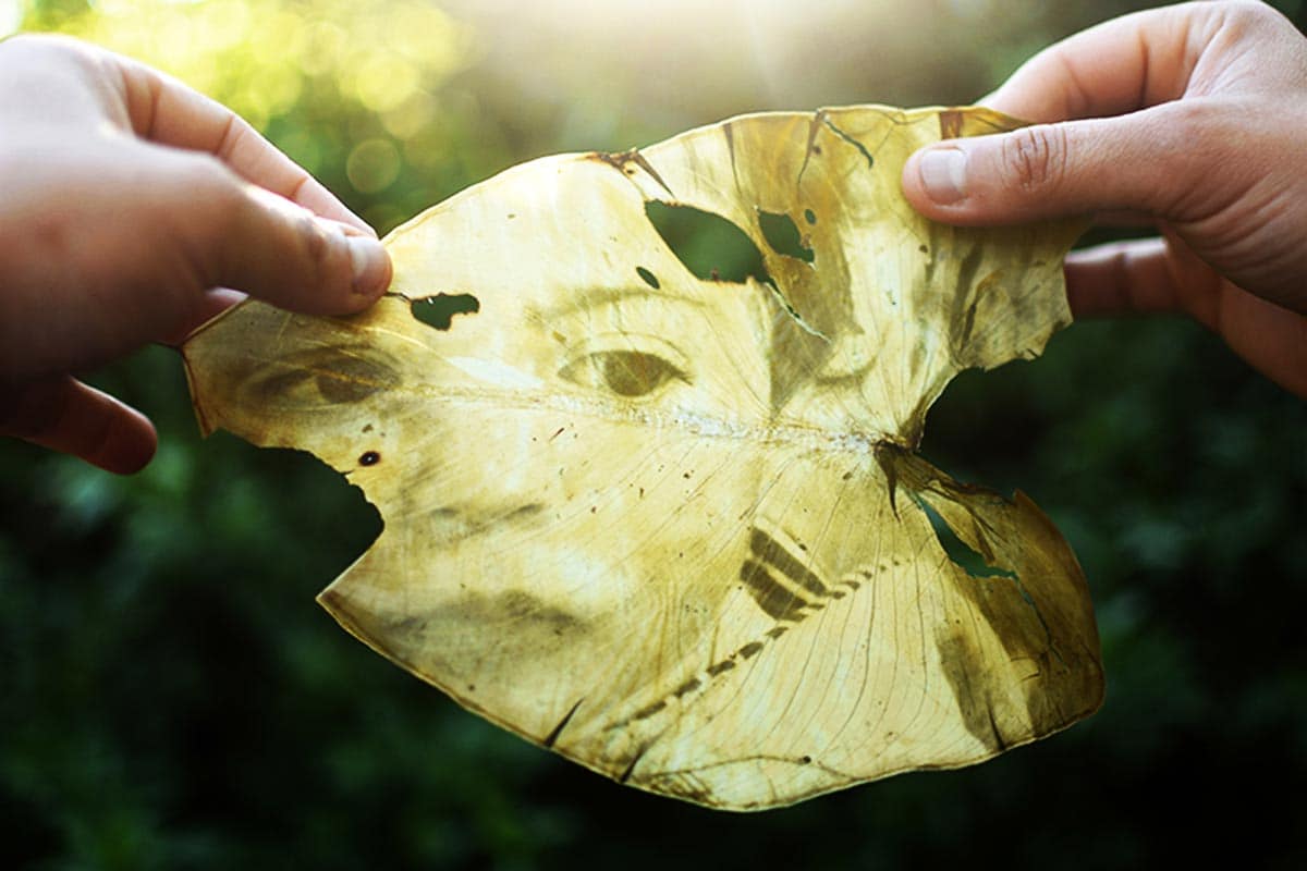 fede ruiz santesteban: magische Bilder