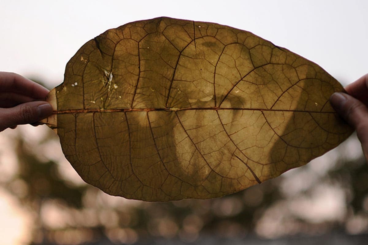 fede ruiz santesteban: magische Bilder