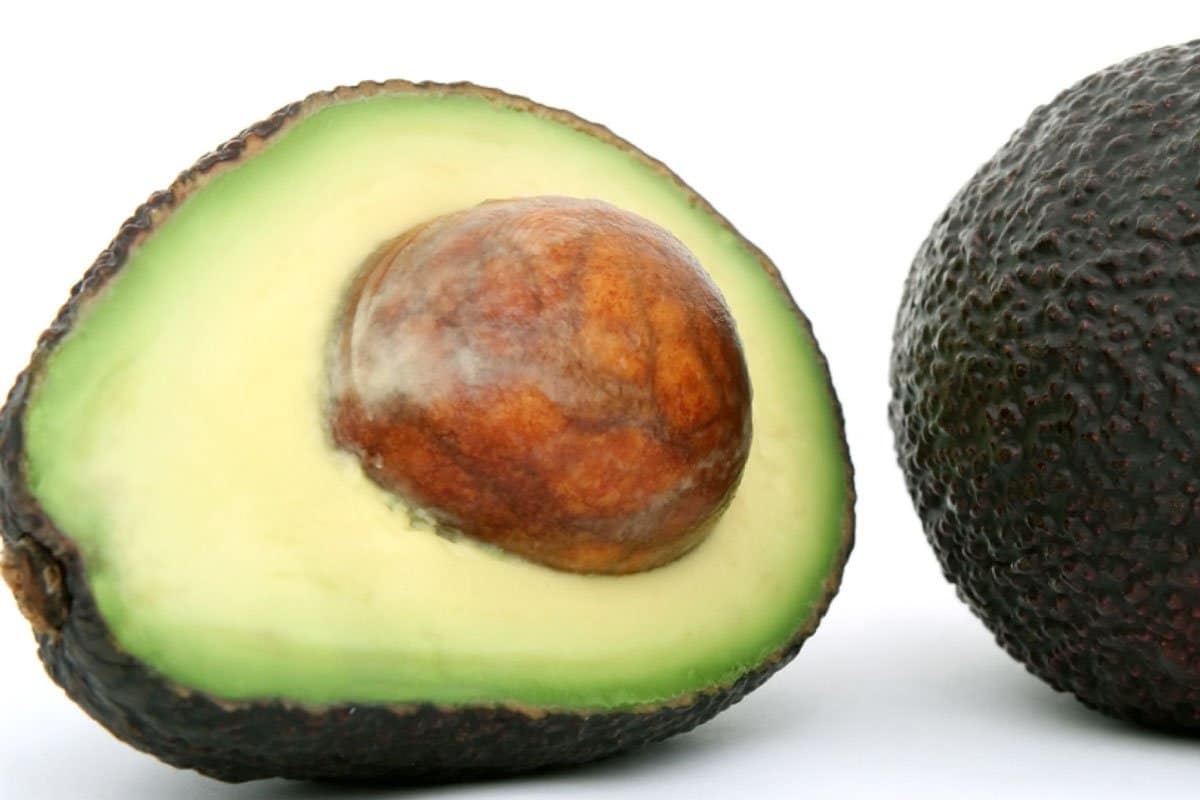 Avocadokern