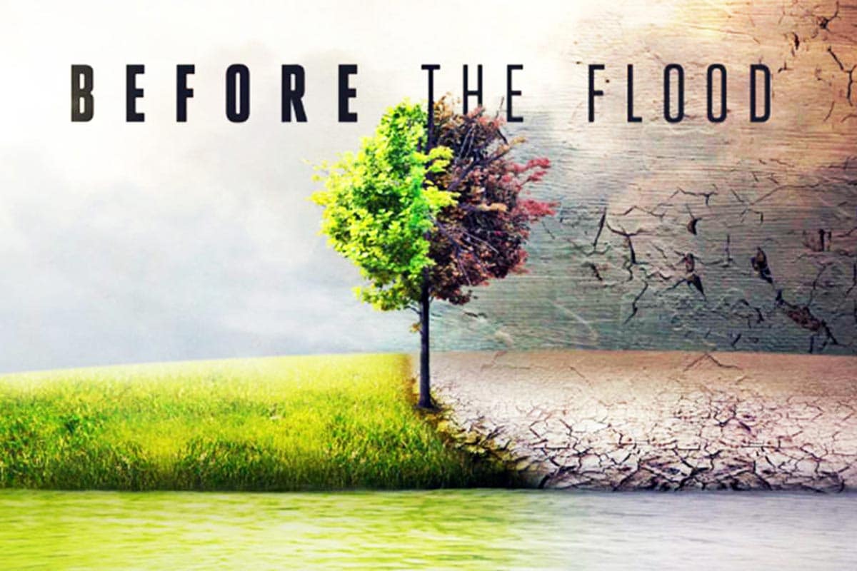 Before the flood