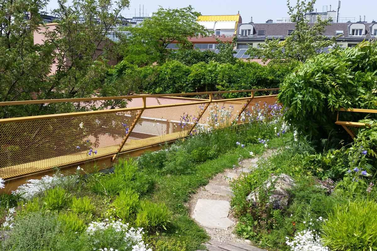 Großstadtdschungel Wien - grüne Wände