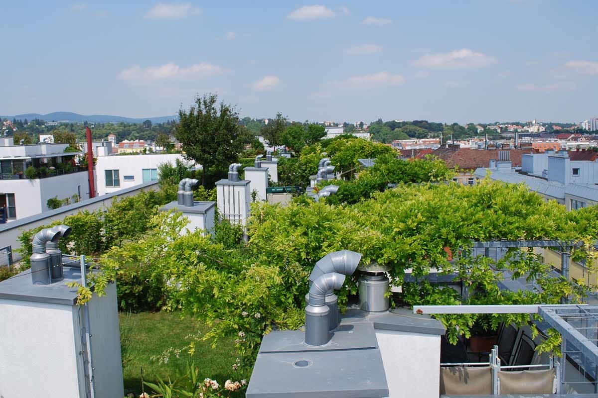 Großstadtdschungel Wien - grüne Wände