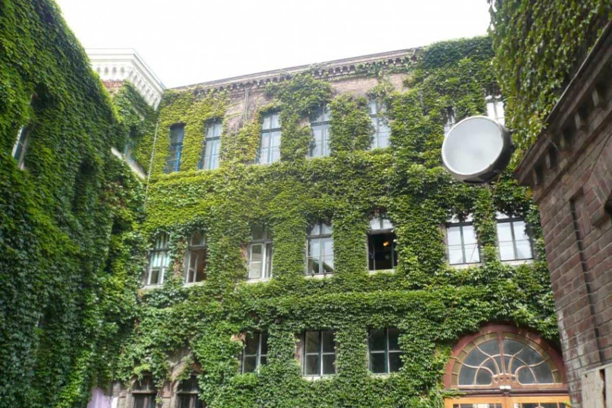 Großstadtdschungel Wien - grüne Wände