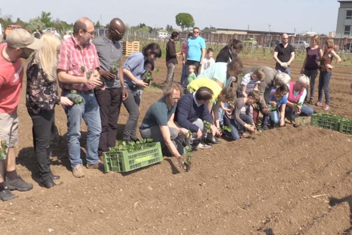 upcycling food: Garten der Begegnung