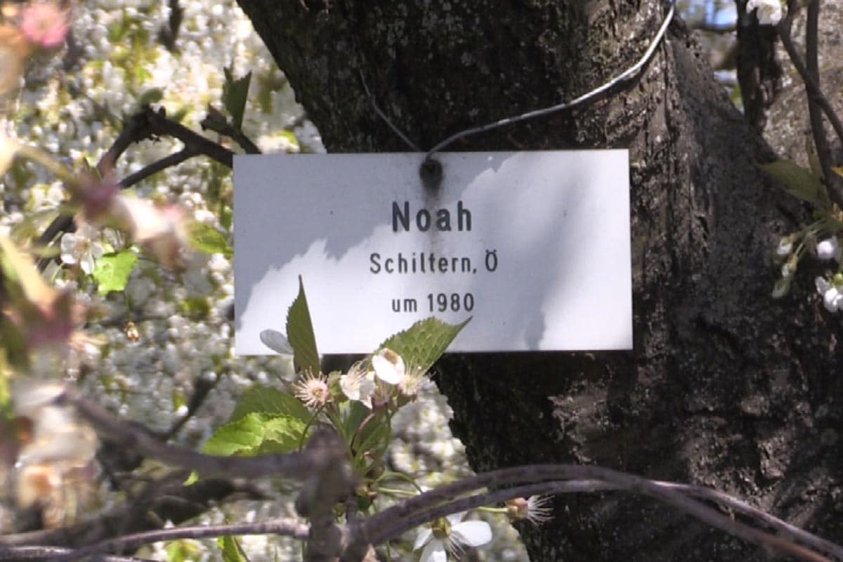 upcycling food: Garten der Begegnung