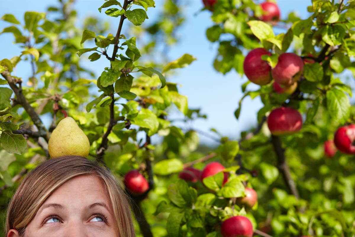 Arche Noah Pop Up-Store