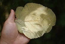 Magische Bilder und zauberhafte Blätter fede ruiz santesteban: magische Bilder