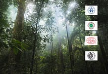 Durchblick im Naturkosmetik-Dschungel Naturkosmetik Güetesiegel