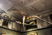 Naturhistorisches Museum: Reise durch die verschiedenen Welten