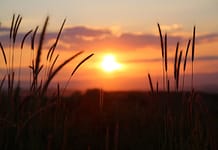 Eco-Anxiety? Handeln hilft dir und der Welt