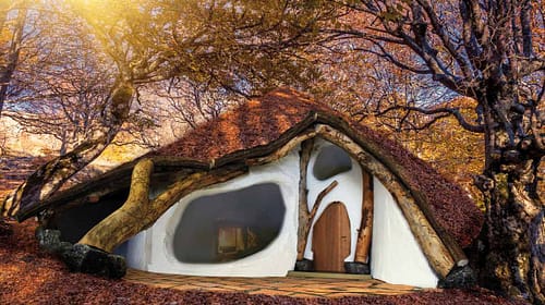 Lebensraum Einbaumhaus