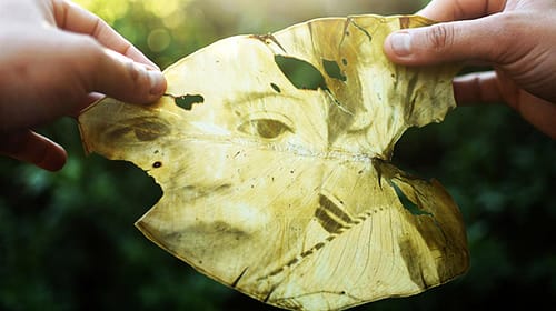 fede-ruiz-santesteban05