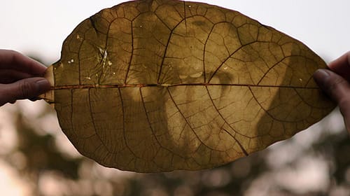 fede-ruiz-santesteban08