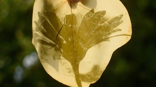 fede-ruiz-santesteban09