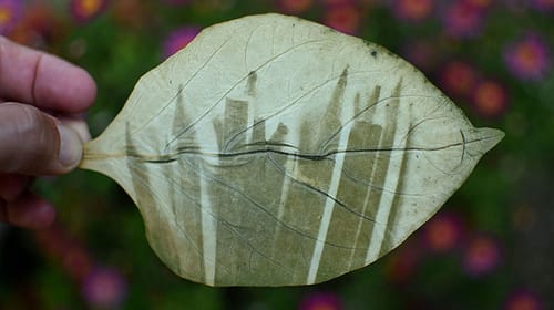 fede-ruiz-santesteban10