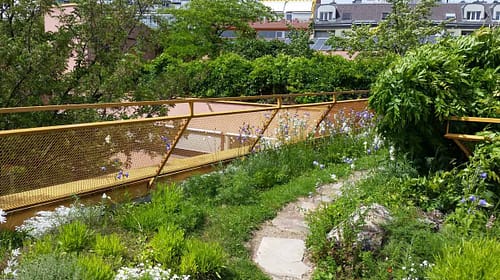 Großstadtdschungel Wien Terassenbegrünung