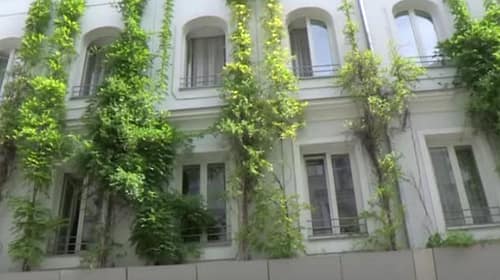 Großstadtdschungel Wien