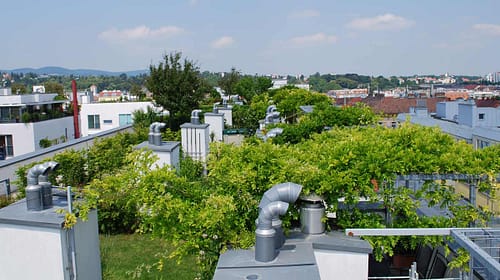 Großstadtdschungel Wien