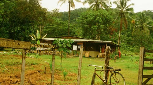 Regenwald der Österreicher