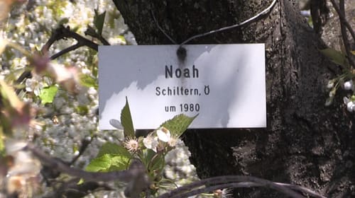 upcycling food: Arche Noah