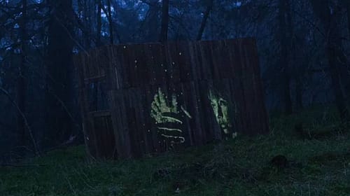 sean-yoro-night-forest