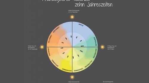 Heilsame Wildpflanzen