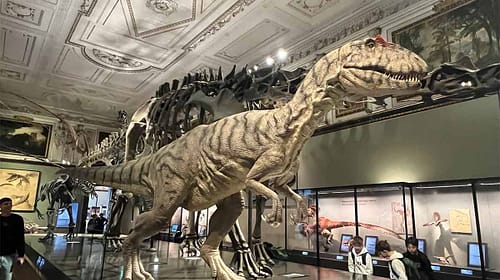 dinausaurier-nhm-foto-unlimitedmedia