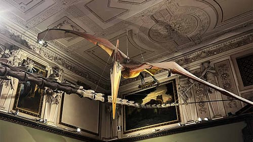 flugsaurier-nhm-foto-unlimitedmedia