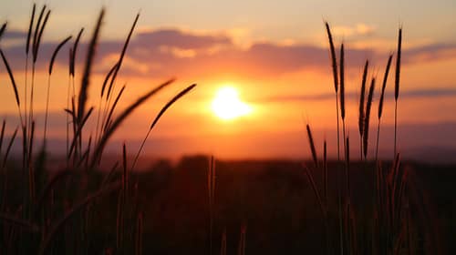 Eco-Anxiety? Handeln hilft dir und der Welt