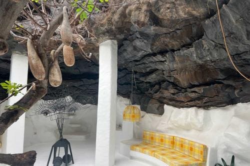 Lanzarote_Baum_Foto_unlimitedmedia